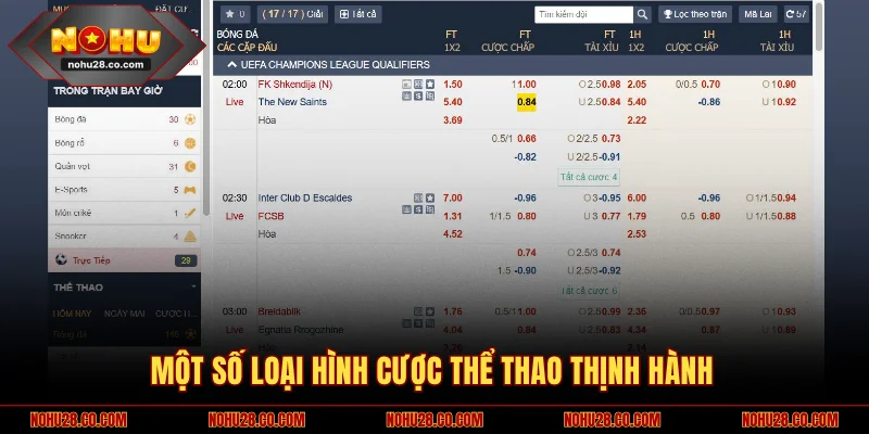 Một số loại hình cược thể thao thịnh hành