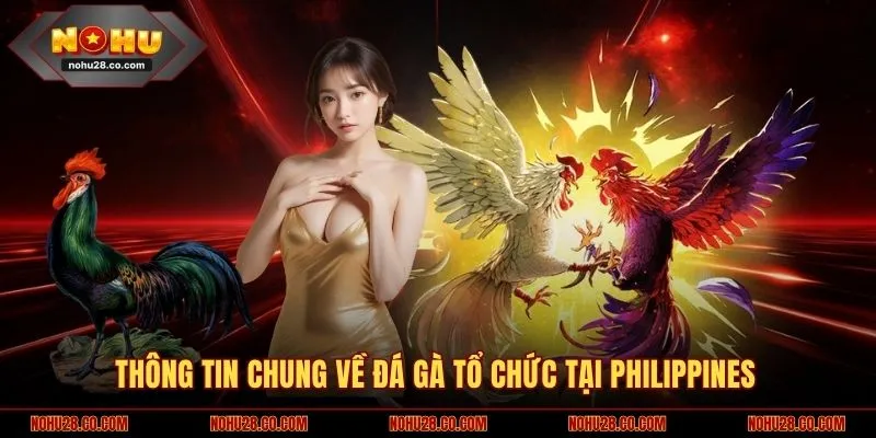 Thông tin chung về đá gà tổ chức tại Philippines