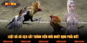 Đá Gà Cựa Sắt